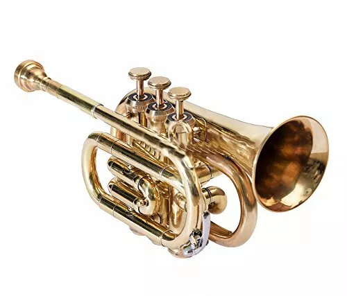 NEW MONTH SALE BRASS Bb POCKET TRUMPET+FREE HARD CASE+M/P HORN MINI POCKET CORNT