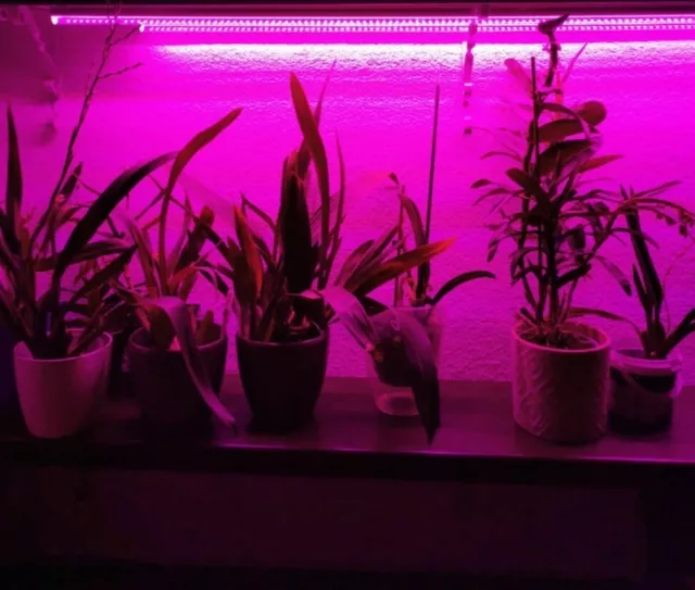 9W 24W LED Grow Léger, T5 Spectre Complet pour Veg Fleur, Hydroponique Intérieur
