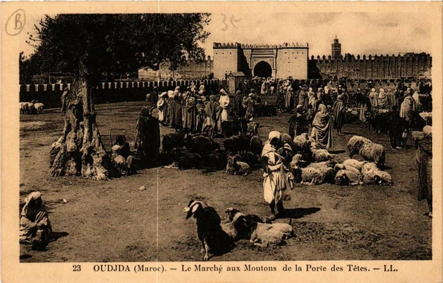 CPA AK OUDJDA - Le Marché aux Moutons de la Porte des Tétes MAROC (669231)