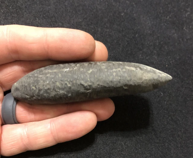 QUALITY HARDSTONE POLE CELT- PA Indian Artifact-NY Arrowhead-BURLINGTON NJ 3