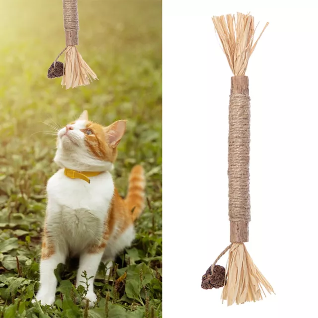 Cat Catnip Chew Toys Cat Wand Natural Silvervine Sticks Toys for Pet Cats Toy