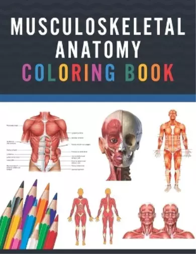 Saijeylane Publi Musculoskeletal Anatomy Colorin (Tapa blanda) (Importación USA)