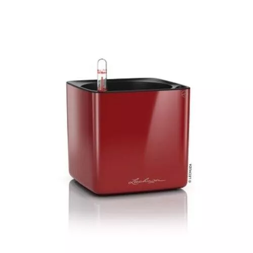 Lechuza Cube Glossy 14 Rouge Pot de fleurs à arrosage automatique Petit pot...