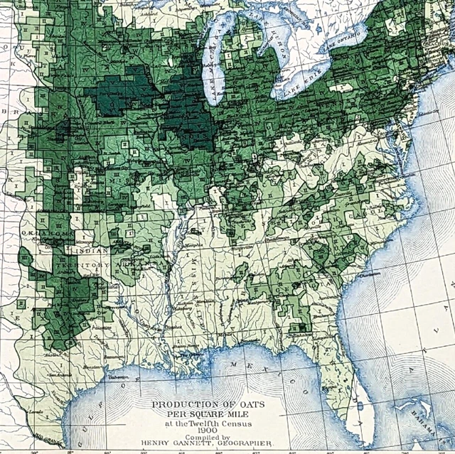 1900 United States Map ORIGINAL Oat Farming Production Agriculture Texas Iowa