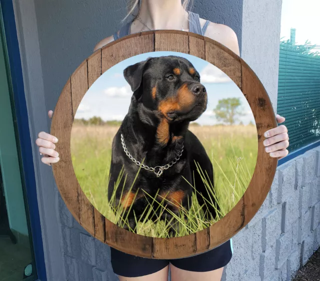 Loyal Rottweiler in Field 'n Tan Dog Wall Art Whiskey Barrel Home decor