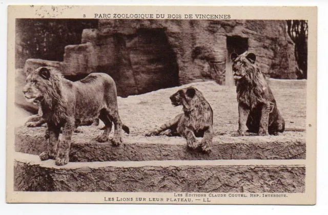 CPA 94 ZOOLOGICAL PARK DU Bois de VINENNES the lions on their set