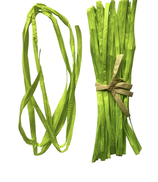 Cinta de Regalos de Papel Raffia Decoración Libro de recortes Hágalo usted mismo Artesanía VERDE MANZANA 1m 5m