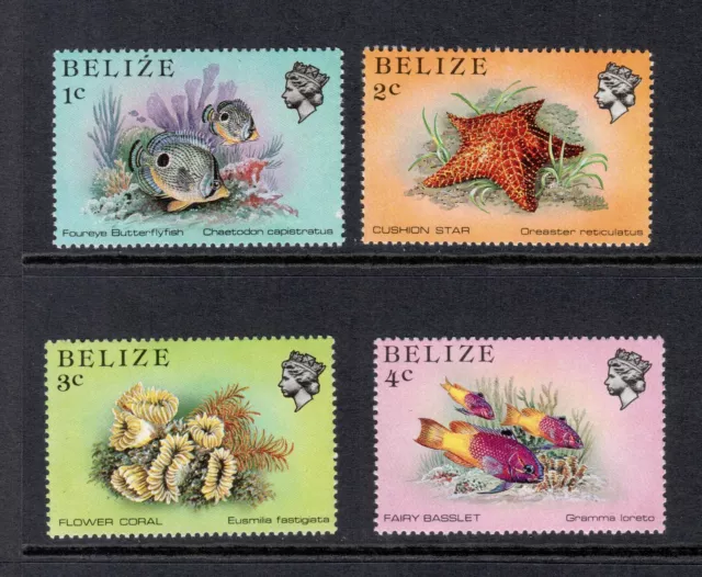 Belize Stamps Scott 699-705 Marine Life MNH