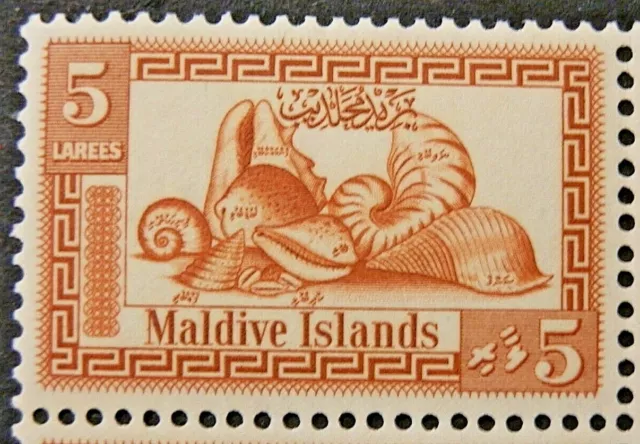 MALDIVE ISLANDS 1960 SG53 5l. COWRIE SHELLS  -  MNH