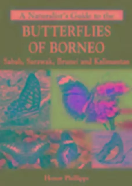 Honor Phillipps | A Naturalist's Guide to the Butterflies of Borneo | Buch