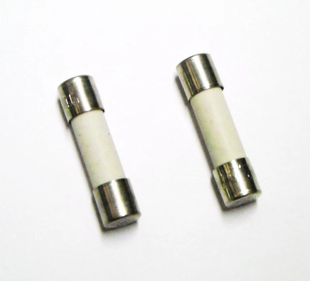 FUSIBILE CERAMICO RITARDATO DI TIPO T 0,4A (400mA) 250V 5x20mm (2 Pezzi)
