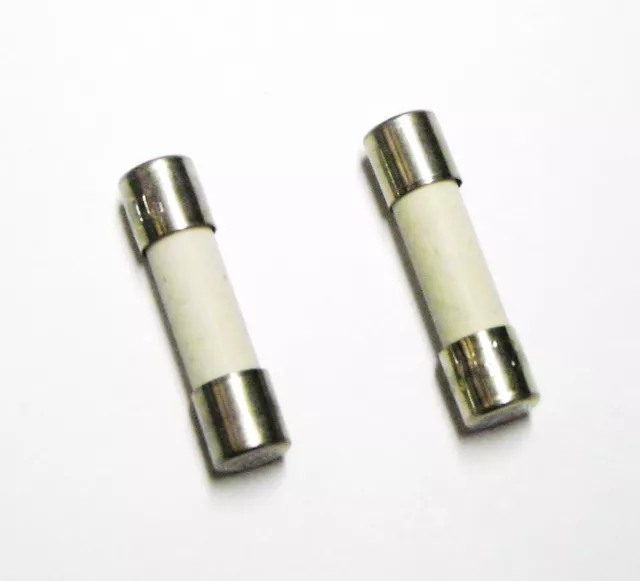 FUSIBILE CERAMICO TIPO M 2,5A 250V 5x20mm (confezione di 2 fusibili)