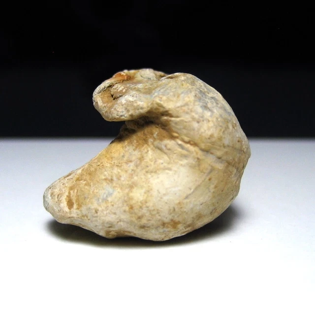 Gettysburg Culp's Hill Civil War Relic Dug Fired Confederate Gardner Bullet