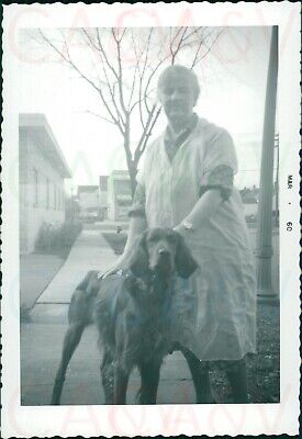 1960 US New York Buffalo Kenmore LaSalle Avenue Woman & Dog 5x3.5"