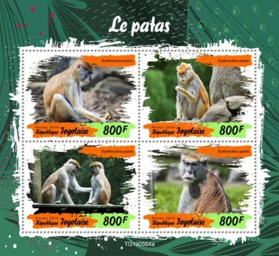2019 Colibri 4 Francobollo Foglio TG190112a Colibri Togo 