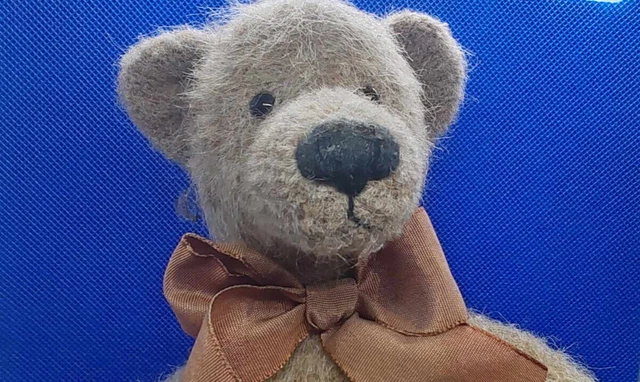 Collection Ours en Peluche Teddy Bear + 2 livres - Collection