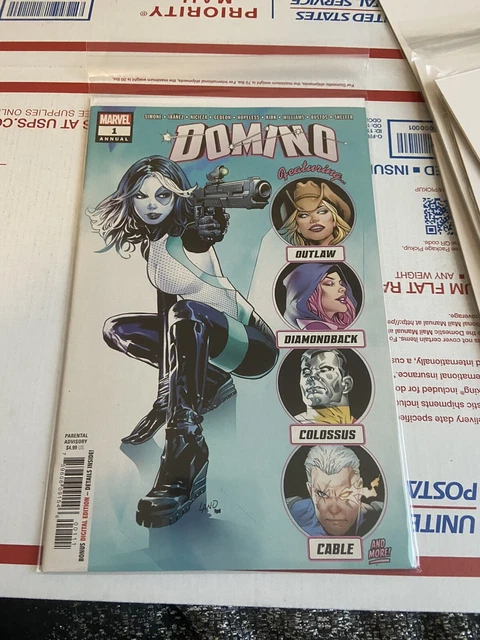 Domino Vol. 1: Annual￼