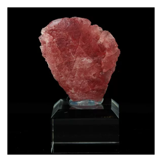 Minéraux collection. Rhodochrosite. 163.5 ct. Wutong Mine, Guangxi, Chine.