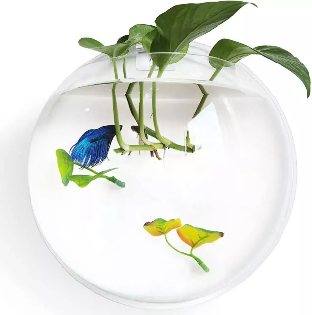 Betta Fish Tank Bowl 11.8In, Wall Mounted Beta Fish Small Aquarium, 1 Gallon