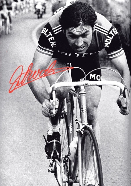 Catalogue Vélo Vintage Eddy Merckx Par Falcon Cycles, Années 70, NOS, Très Bon état