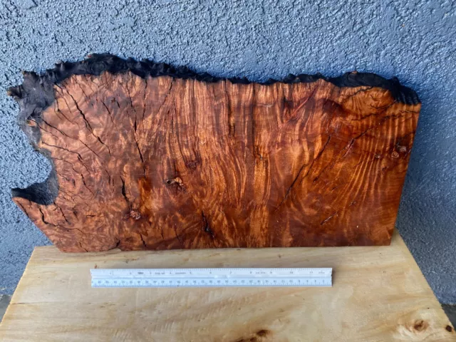 Madrone Burl Slab Charcuterie Board Turning Blank  1 1/8" x 9-10" x 19"  #956