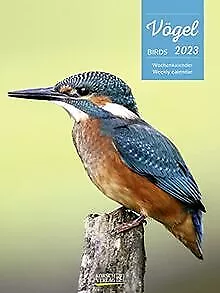 Vögel 2023: Foto-Wochenkalender von Korsch Verlag | Buch | Zustand sehr gut