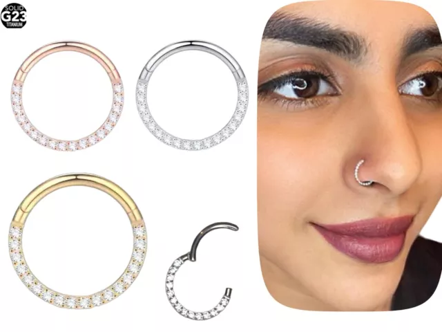 Piercing Titan Segment Ring Nasenpiercing Septum Clicker Ohrpiercing Nasenring