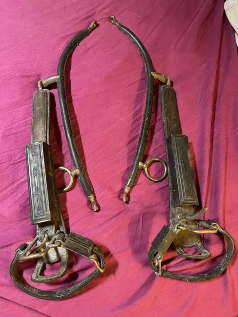Hames Quality for Harness Of Horse Double Fontes Leather Embossed