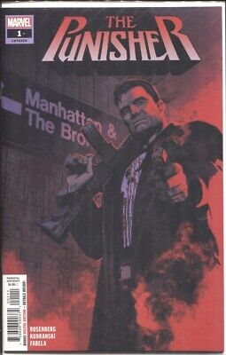 Punisher (2018) #1 / 1St Print Smallwood Cover / Nm+