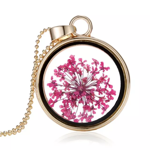 New Natural Real Dried Flower Resin Round Glass Floating Locket Pendant Necklace
