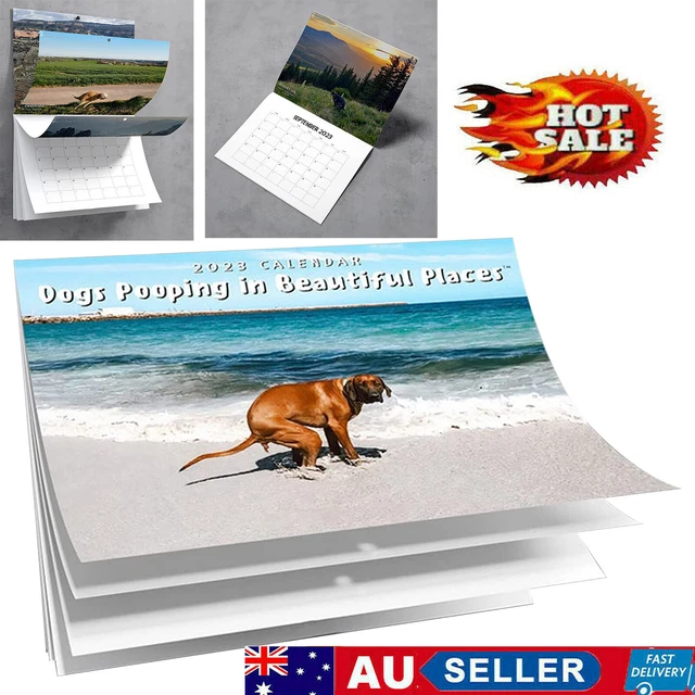 FUNNY DOG POOPING Calendar 20232024 Monthly Wall Hanging Calendar