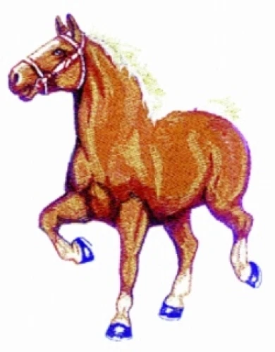 Embroidered Sweatshirt - Belgian Horse BT3726 Sizes S - XXL
