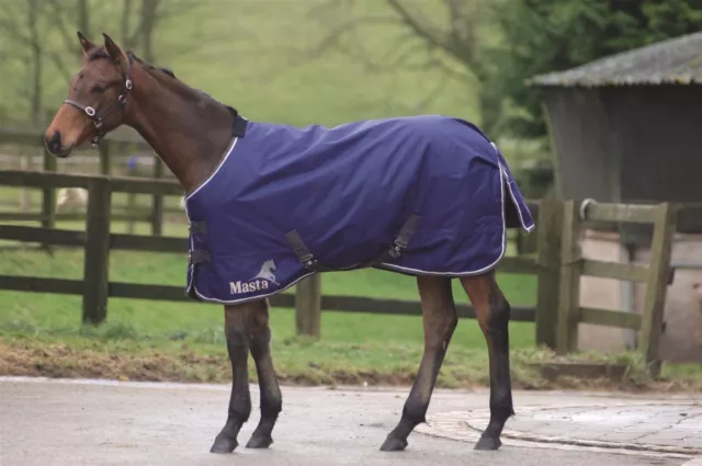 Masta Avante 170g Mediumweight Foal Turnout Rug