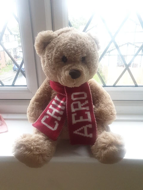 Aeropostale teddy bear 2025