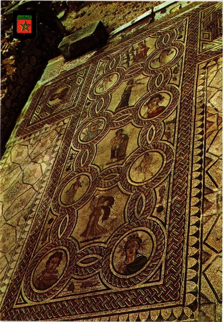CPM AK Volubilis- Maison des quatre saisons MAROC (880831)