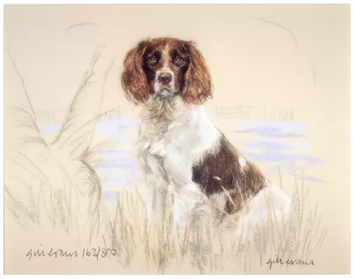 ENGLISH SPRINGER SPANIEL ESS DOG ART LIMITED EDITION PRINT - By the Water