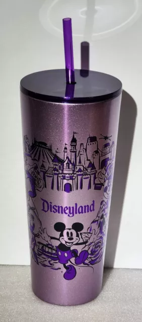 https://www.picclickimg.com/p6IAAOSw9qdklsZQ/Starbucks-Disneyland-Stainless-Steel-Purple-Tumbler-Mickey-Castle.webp