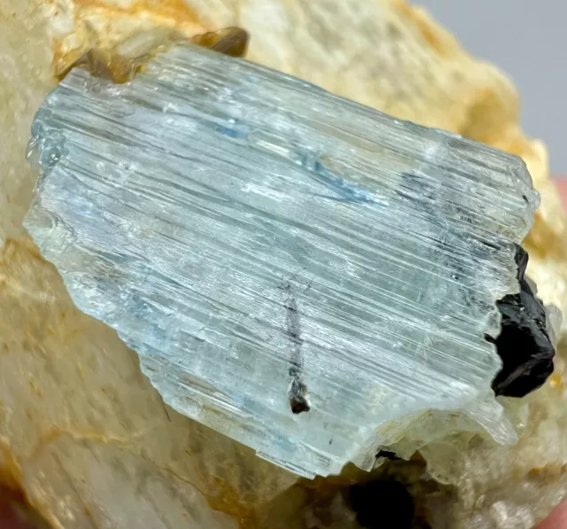 530 CT Full Terminated Aquamarine Crystal With Black Tourmaline On Feldspar @PAK