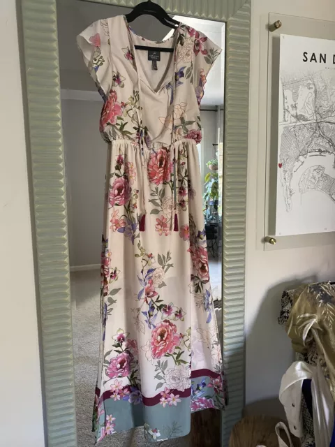 Adrianna Papell Women's Long Floral Dress - Pink with flowers. Size 4