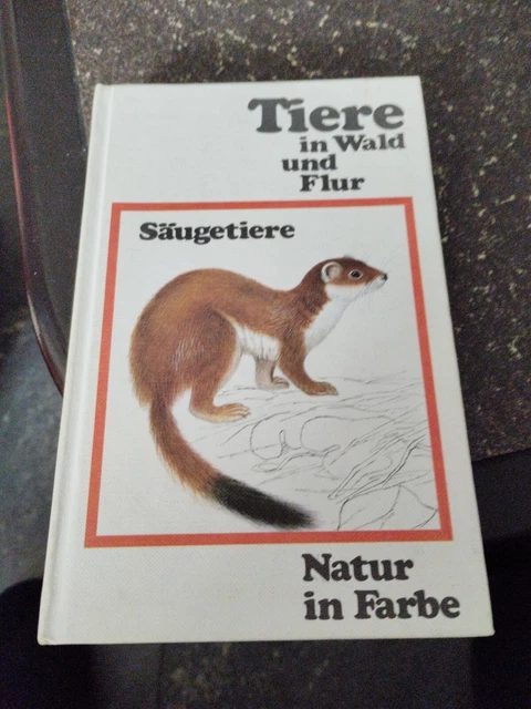 TIERE IN WALD Und Flur-Sugetiere- Natur In Farbe Tolles Tierbuch Von V