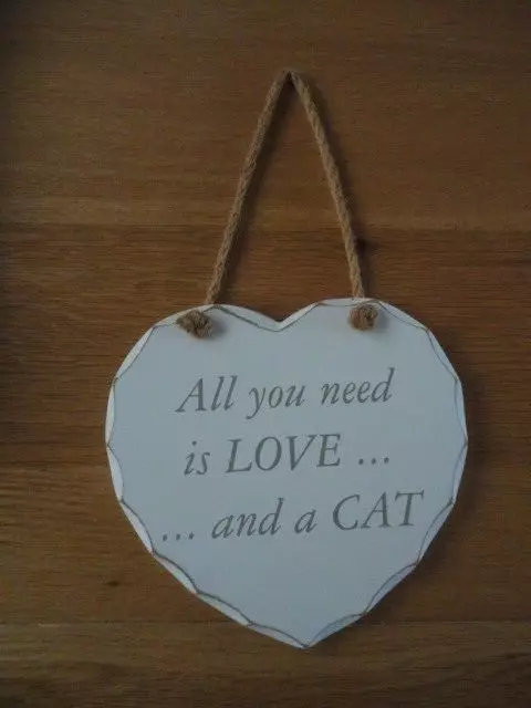 All You Need Is Love...and a Cat. White wooden heart shaped plaque