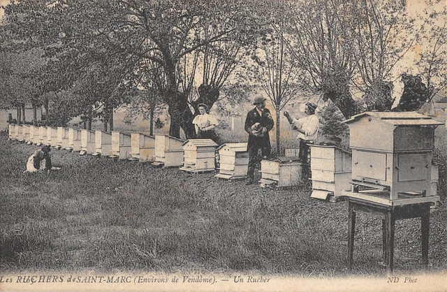 Cpa 41 Les Ruchers De Saint Marc / Surroundings De Vendome / Un Apiary