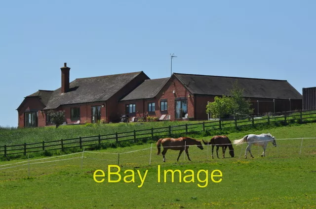 Photo 6x4 Horses grazing on the land of a property Tamworth This photogra c2009