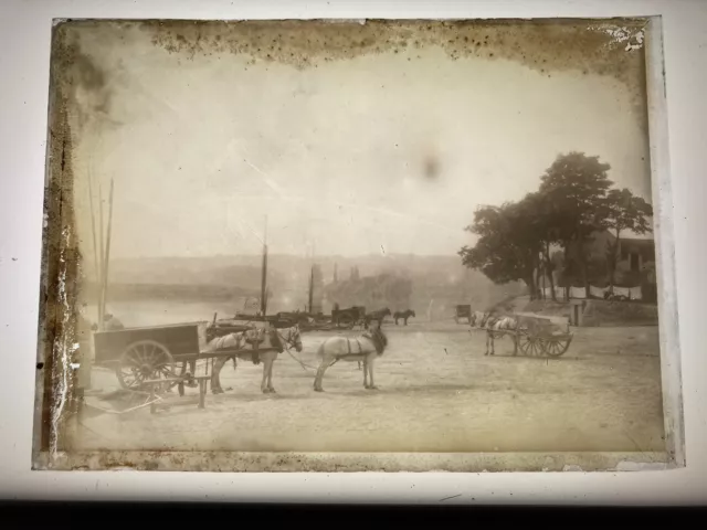 CHARIOTS CHEVAUX PORTRAIT 1900 PLAQUE VERRE PHOTO 13x18 PHOTOGRAPHIE POSITIVE