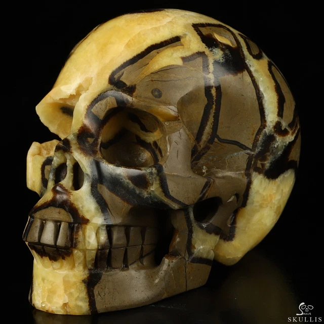 5.0" Dragon Septarian Stone Hand Carved Crystal Skull, Realistic, Healing
