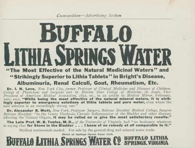 1910 Buffalo Lithia Springs Medicinal Water Vintage Print Ad CO2