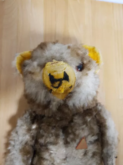 alter Antiker Clemens  Teddy Bär, mit Holzwolle 2