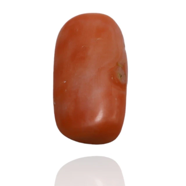7.30 Cts 100% Natural Taiwan Coral Beautiful Oval Cabochon Loose Gemstones C-6