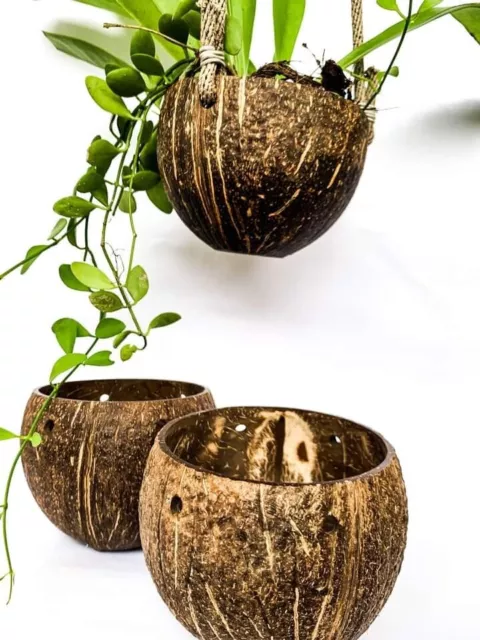 Coconut Shell Hanging Pot Flower Basket Holder Orchid Planter Balcony Decor