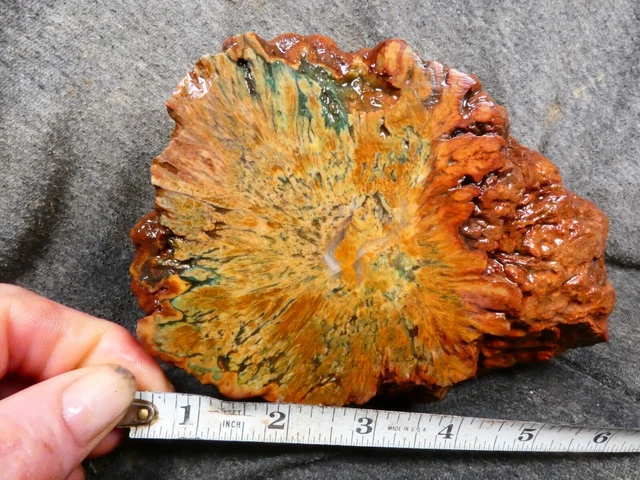 oregon pseudomorph aragonite sagenite agate 3.80 lbs